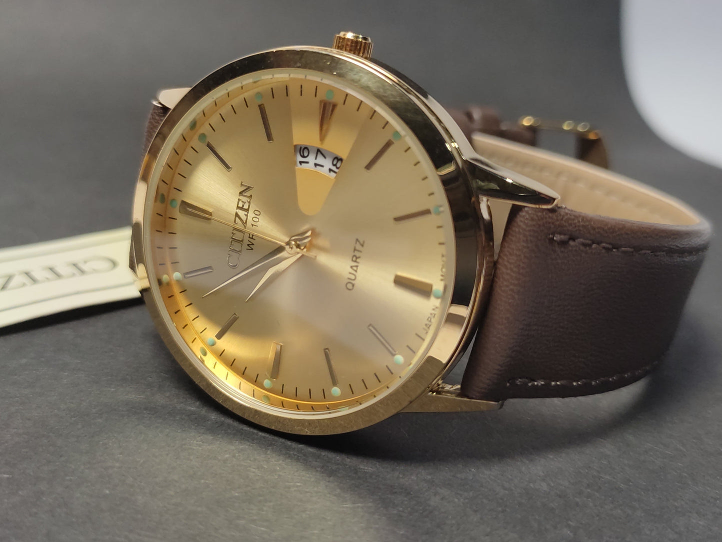 Citizen WR-100 : Watch