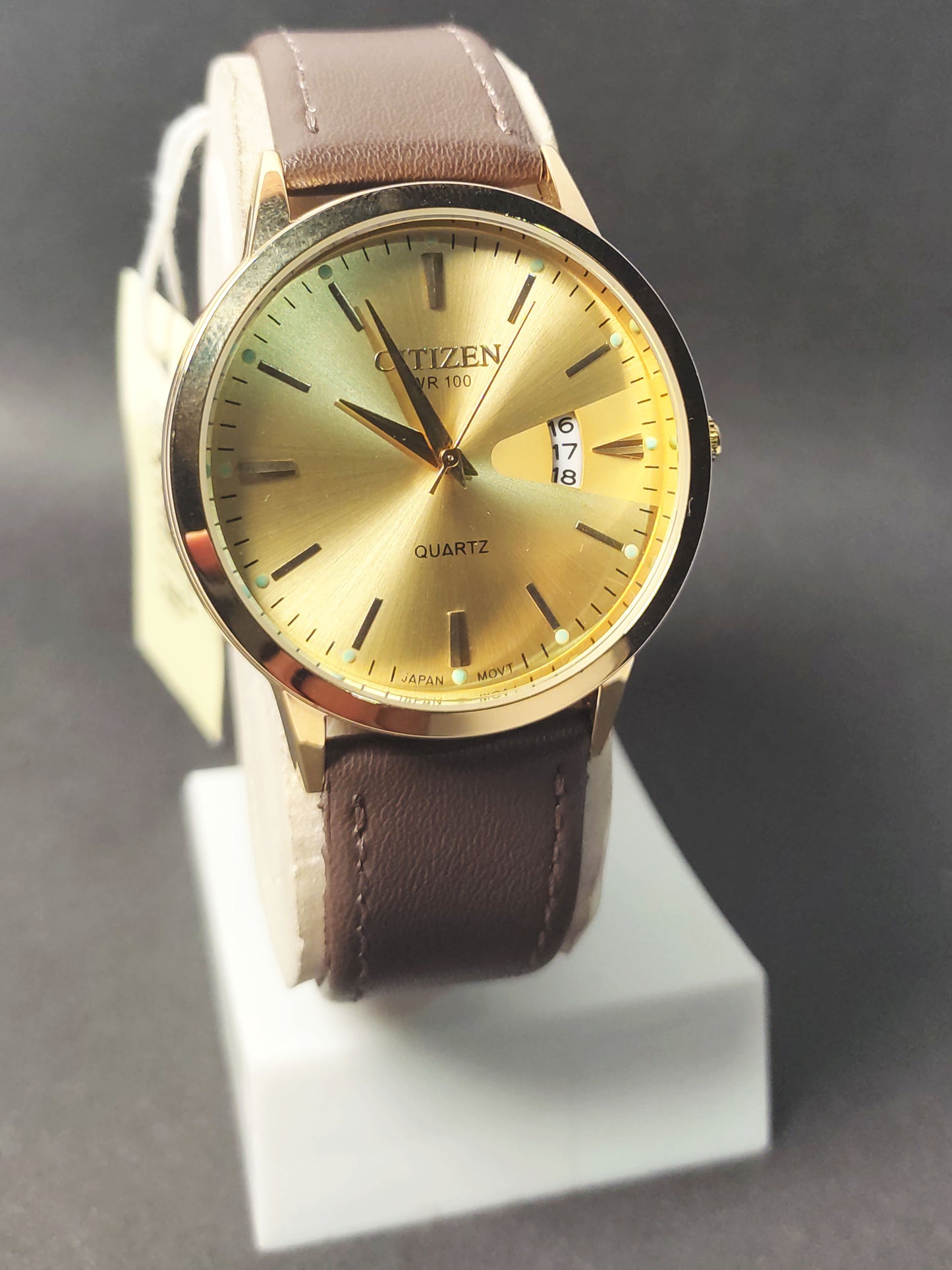 Citizen WR-100 : Watch
