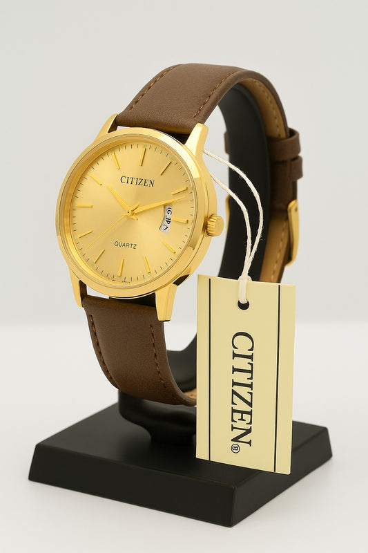Citizen WR-100 : Watch